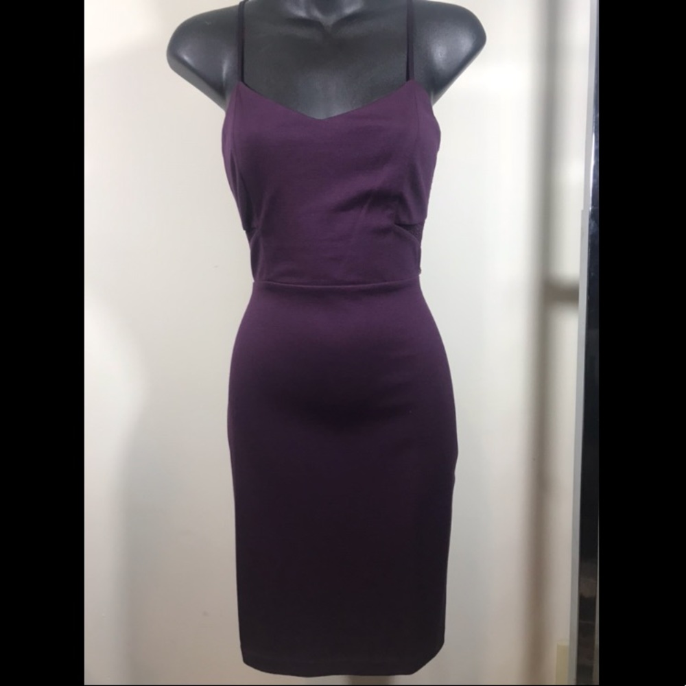 Express Plum Dress size 2